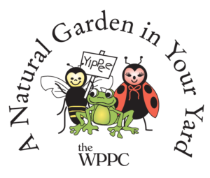 Natural Garden in Your Yard logo